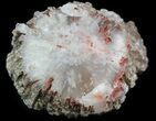 Pennsylvanian Aged Red Agatized Horn Coral - Utah #46737-1